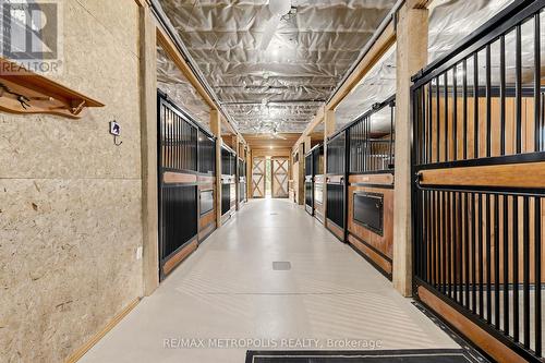 11590 Side Road 17, Brock, ON 
