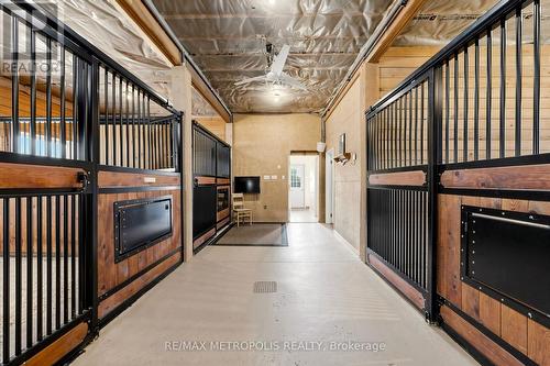 11590 Side Road 17, Brock, ON 