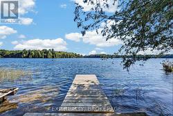 site OR336 dockk - 