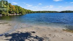 main park beach area - 