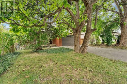 114 Elmcrest Road, Toronto, ON 