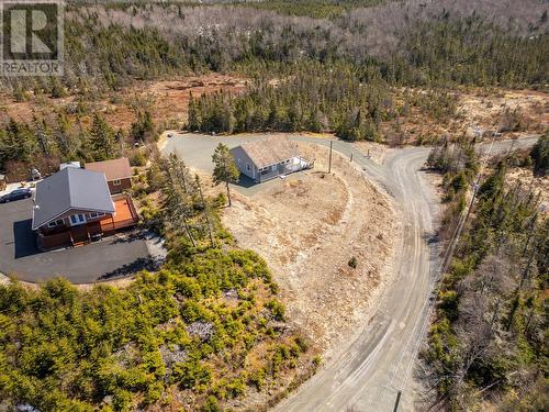 43 Birch Ridge Road, Goulds Big Pond, NL 