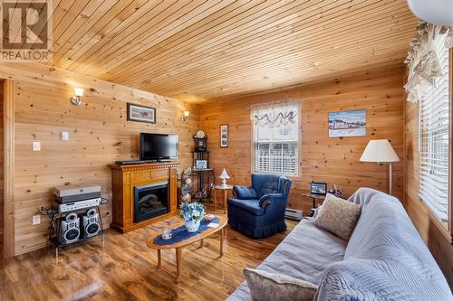 43 Birch Ridge Road, Goulds Big Pond, NL 