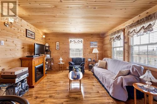 43 Birch Ridge Road, Goulds Big Pond, NL 