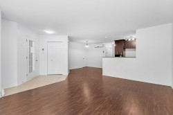 Salon - 