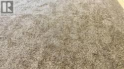 BEDROOM 2 - NEW CARPET COLOUR - 2025-11-06 - 