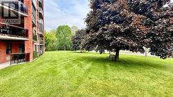 EAST SIDE YARD - 