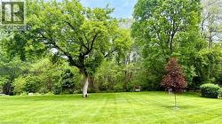 BACK YARD - NORTH SIDE - 