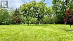 BACK YARD - NORTH SIDE - 