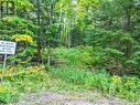 1709 Maple Road, Chisholm, ON 