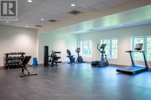 Gym - 314 - 121 Mary Street, Clearview, ON 