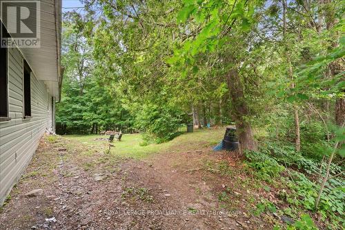 1023 Jewel Road, North Frontenac (Frontenac North), ON 