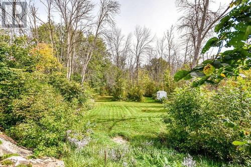 10923 Provincial Hwy 11 Highway, Severn, ON 