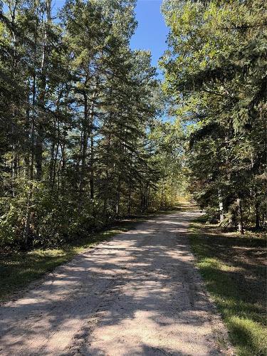 35111 Gueret 44E Road, La Broquerie, MB 