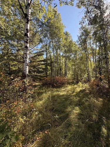 35111 Gueret 44E Road, La Broquerie, MB 