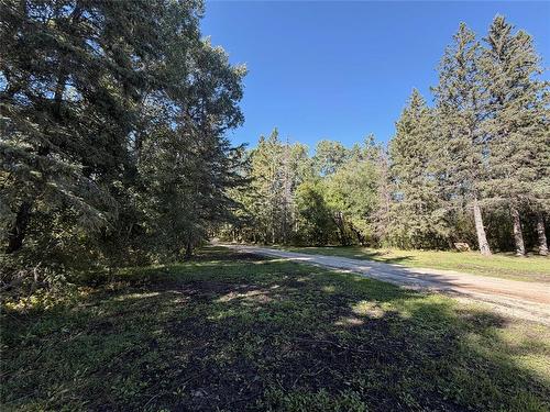35111 Gueret 44E Road, La Broquerie, MB 