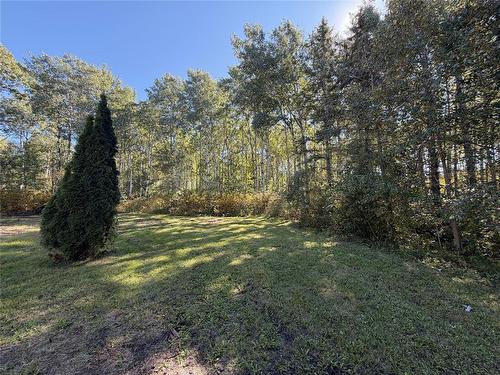35111 Gueret 44E Road, La Broquerie, MB 