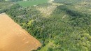 Lot 31 9 County Road, Melancthon, ON 