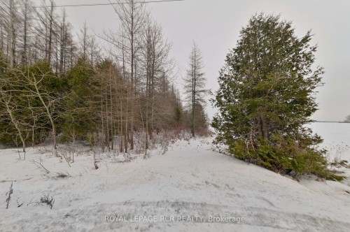 Lot 31 9 County Road, Melancthon, ON 