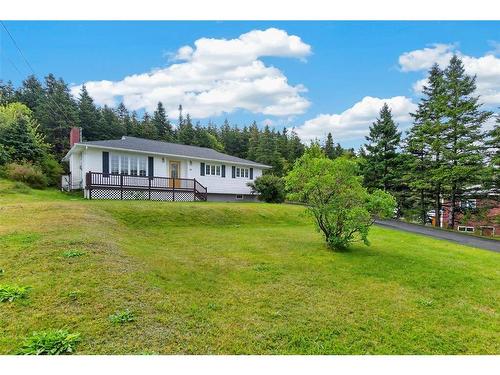 38 Cranes Road, Spaniards Bay, NL 