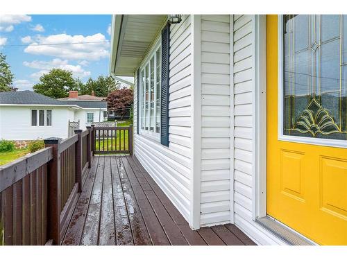 38 Cranes Road, Spaniards Bay, NL 