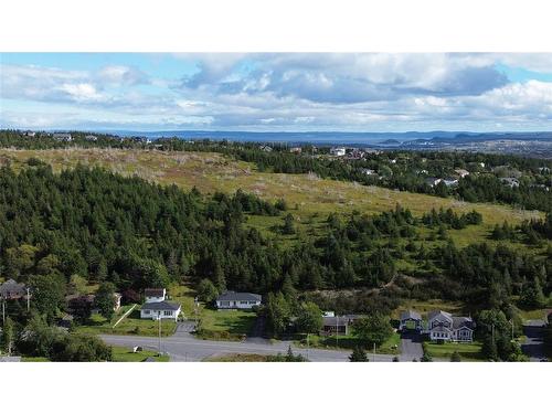 38 Cranes Road, Spaniards Bay, NL 
