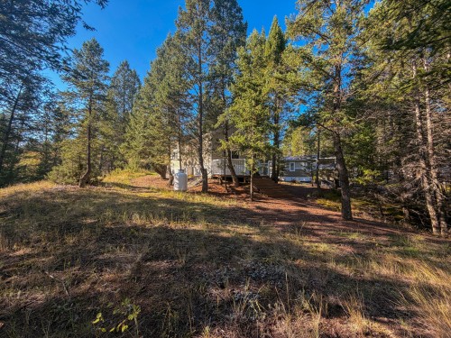 4906 Lynx Drive, Radium Hot Springs, BC 