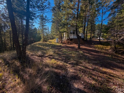 4906 Lynx Drive, Radium Hot Springs, BC 