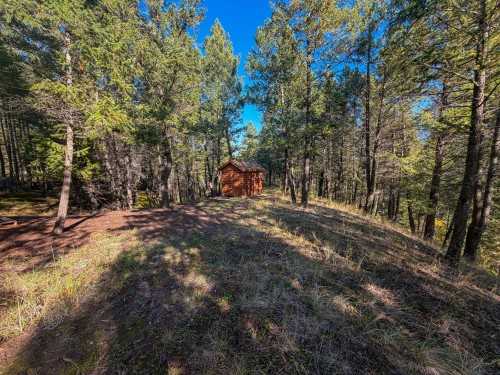 4906 Lynx Drive, Radium Hot Springs, BC 