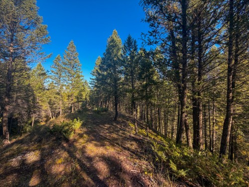 4906 Lynx Drive, Radium Hot Springs, BC 