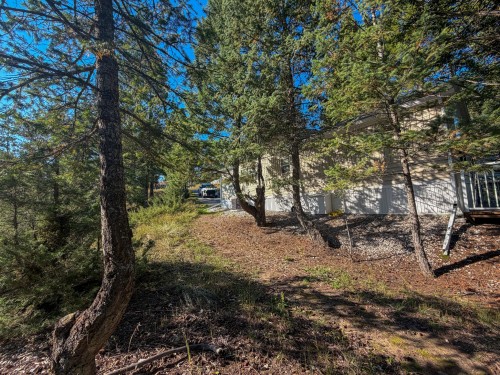 4906 Lynx Drive, Radium Hot Springs, BC 