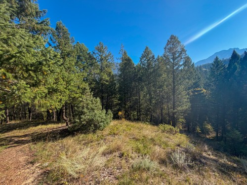 4906 Lynx Drive, Radium Hot Springs, BC 