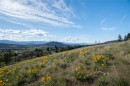 5152 Whitetail Drive, Kelowna, BC 