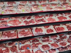1504 Ch. Gascon  Terrebonne (Terrebonne), QC J6X 3A3