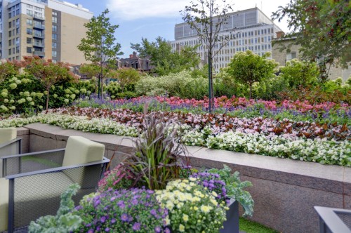 Jardin - 512-1455 Rue Sherbrooke O., Montréal (Ville-Marie), QC 