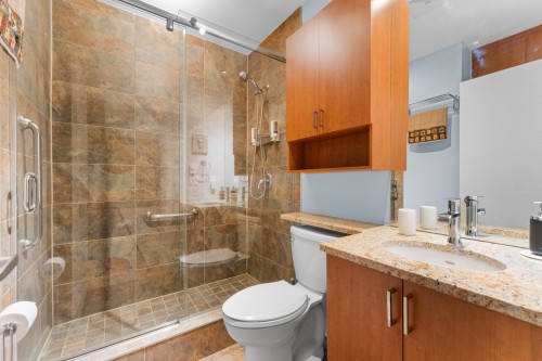 Salle de bains - 202-1184 Rue Plessis, Montréal (Ville-Marie), QC 