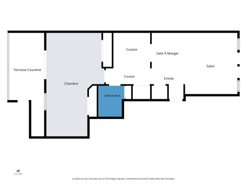 Plan (croquis) - 202-1184 Rue Plessis, Montréal (Ville-Marie), QC 
