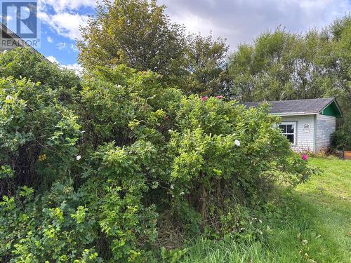 3 Robbins Road, Caplin Cove, NL 