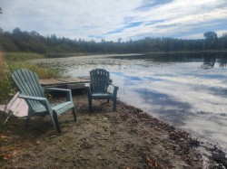 Bord de l'eau - 