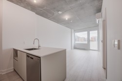 618-3045 Boul. de l'Assomption Montréal (Mercier/Hochelaga-Maisonneuve), QC H1N 0E5