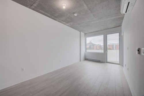 618-3045 Boul. de l'Assomption , Montréal (Mercier/Hochelaga-Maisonneuve), QC H1N 0E5 2