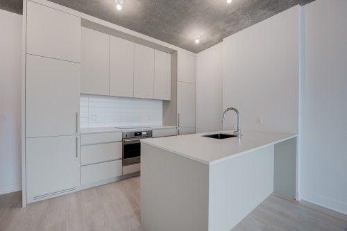 618-3045 Boul. de l'Assomption , Montréal (Mercier/Hochelaga-Maisonneuve), QC H1N 0E5 3