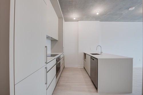 618-3045 Boul. de l'Assomption , Montréal (Mercier/Hochelaga-Maisonneuve), QC H1N 0E5 4