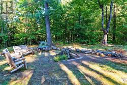 Private fire pit area - 