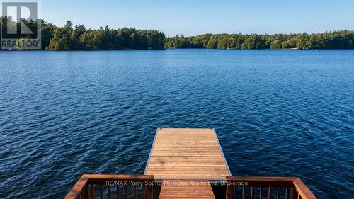 New quality aluminum dock - 33 Houston Lane, Seguin, ON 