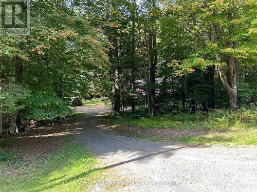 Driveway - 120 Line Hill Road, Huntsville (Chaffey), ON 