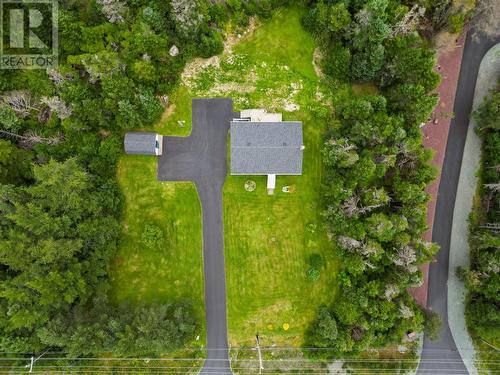 Huge lot…. Plenty of room for a large garage for the toys! - 127 Main Road, Mobile, NL 