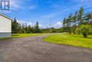 Beautiful! - 127 Main Road, Mobile, NL 