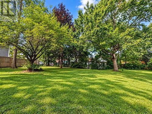99 Bunting Road, St. Catharines (E. Chester), ON 