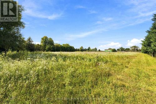 1191 15 Side Road, Milton, ON 